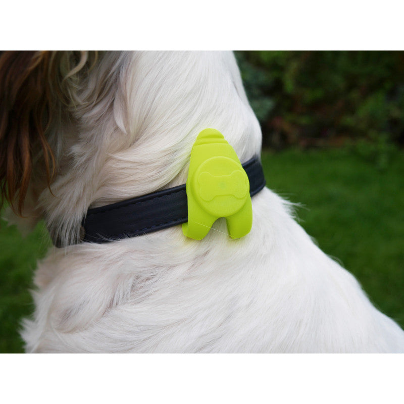 led luminoso para collar Rosewood